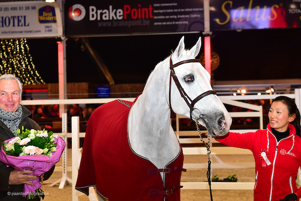 BWP Hengstenkeuring, veiling & hengstencompetitie