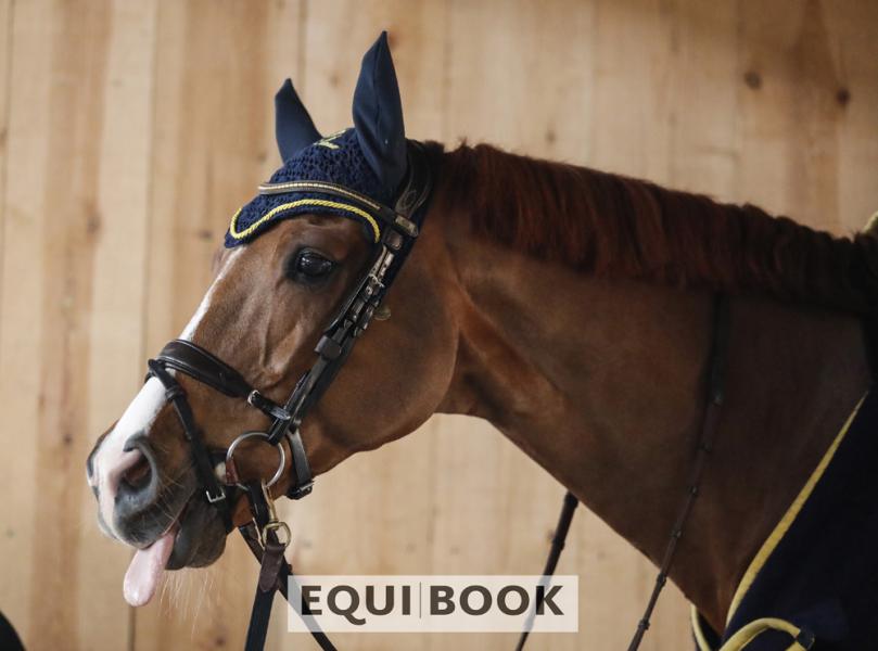 Indoor Tour CSI Lier 2019