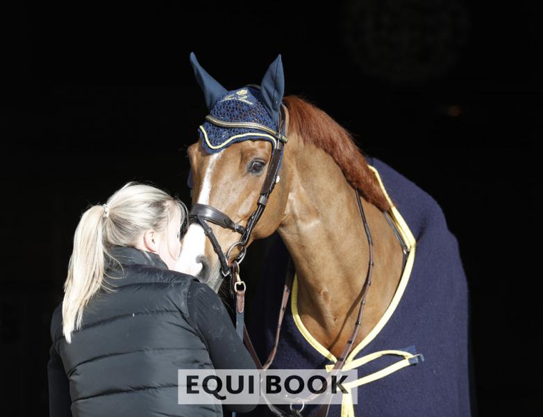 Indoor Tour CSI Lier 2019