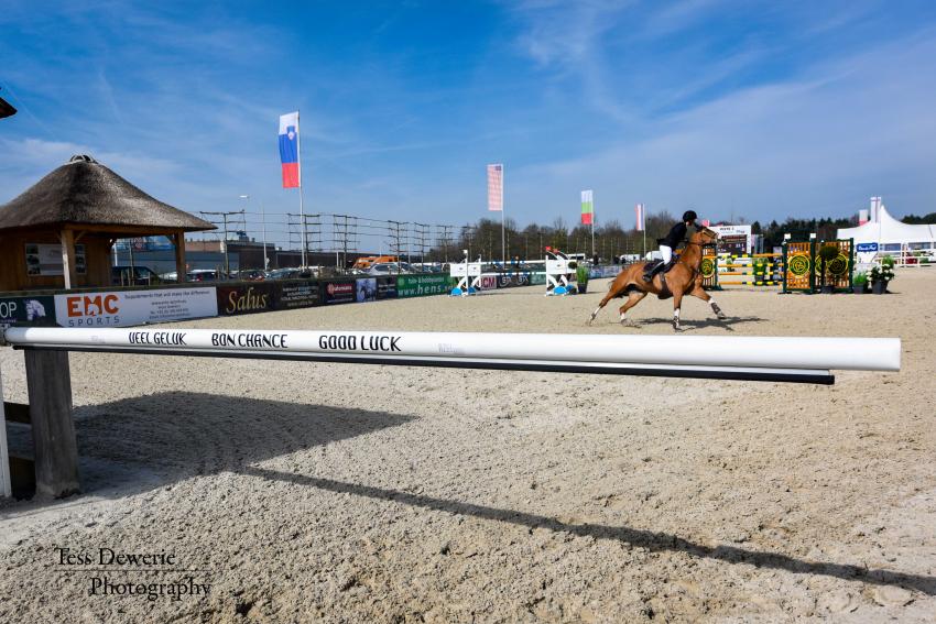 AZELHOF SPRINGTOUR 2017 by Tess Dewerie
