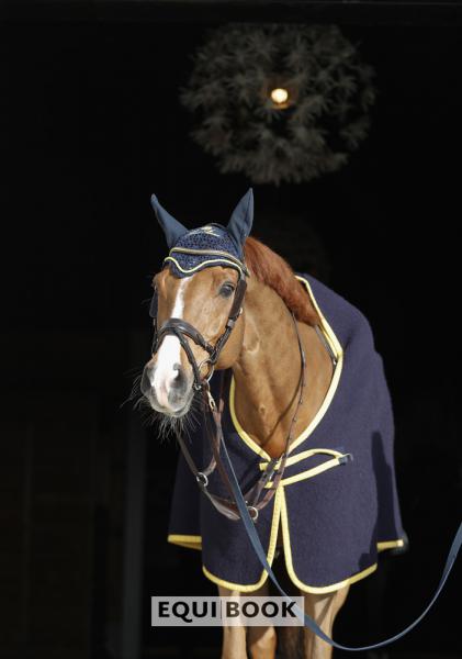 Indoor Tour CSI Lier 2019