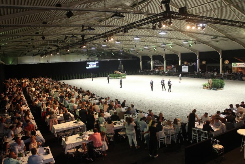 Horseman Elite Auction 2021