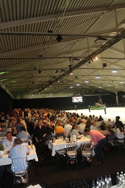 Horseman Elite Auction 2021