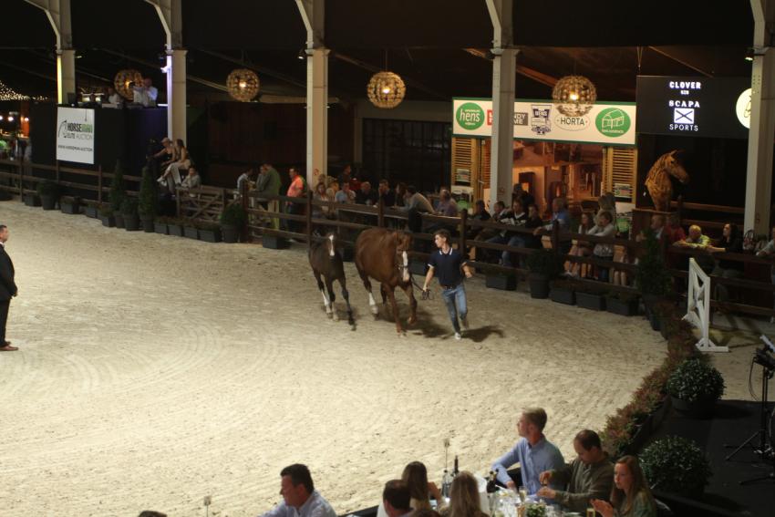 Horseman Elite Auction 2021