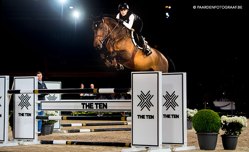 stallion show + Auction Top Ten - Tal Milstein