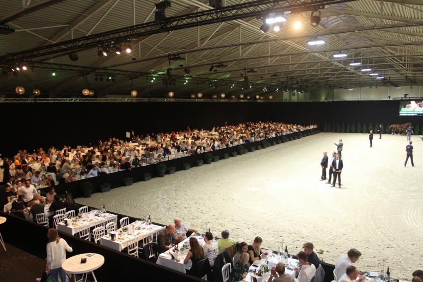 Horseman Elite Auction 2021