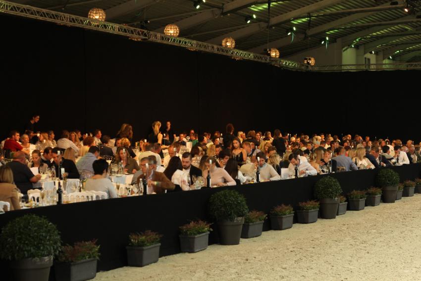 Horseman Elite Auction 2021