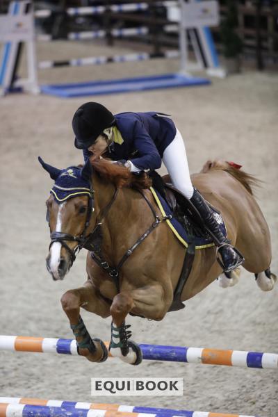 Indoor Tour CSI Lier 2019