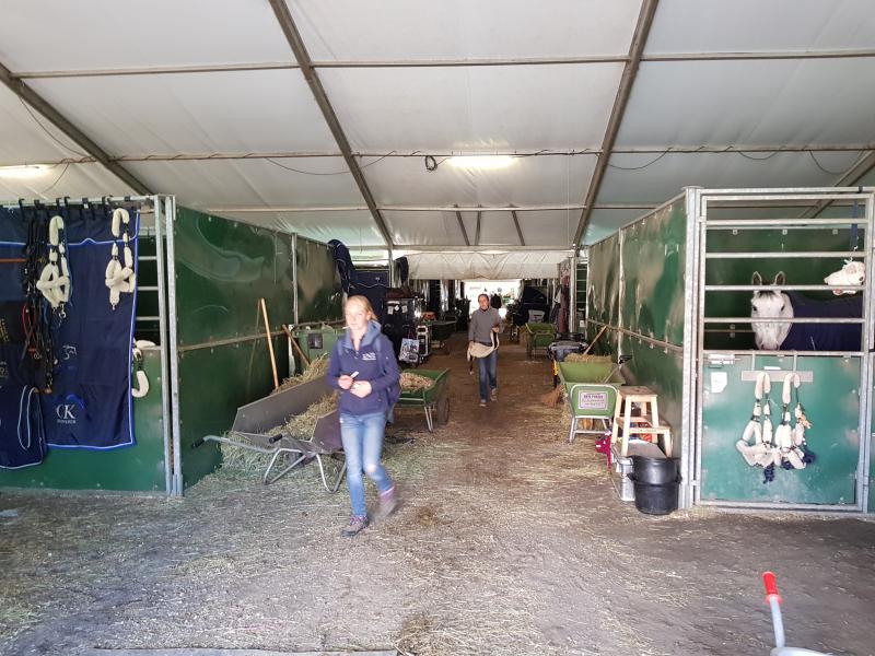 CSI2* YH LIER INDOOR