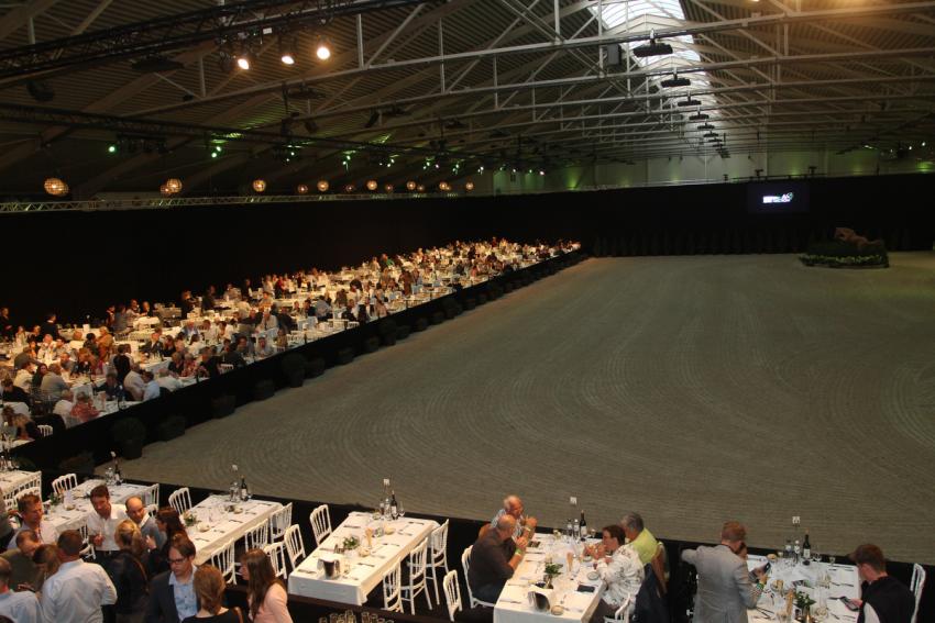 Horseman Elite Auction 2021