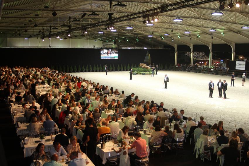 Horseman Elite Auction 2021