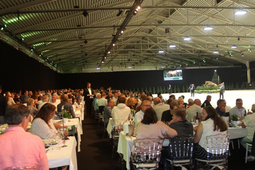 Horseman Elite Auction 2021