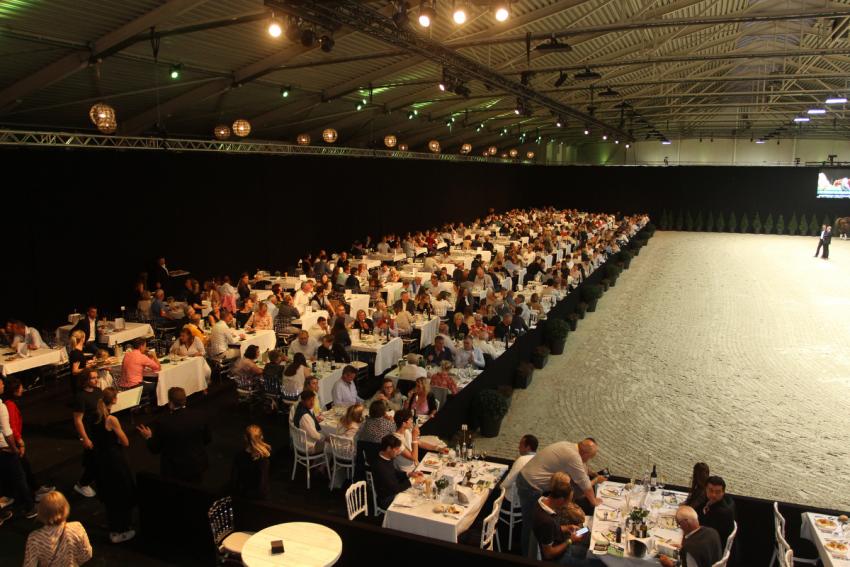 Horseman Elite Auction 2021