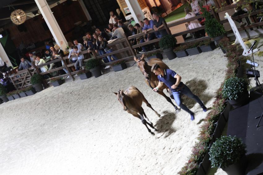 Horseman Elite Auction 2021