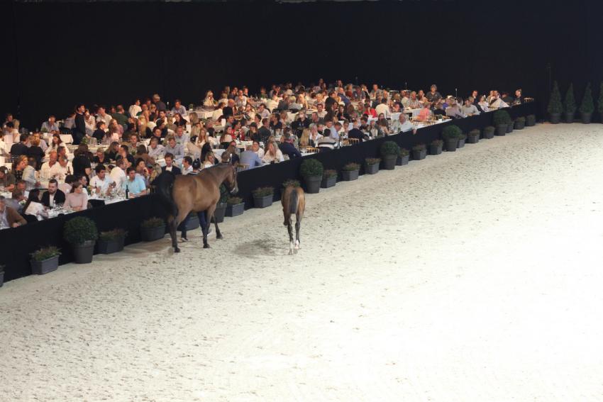 Horseman Elite Auction 2021