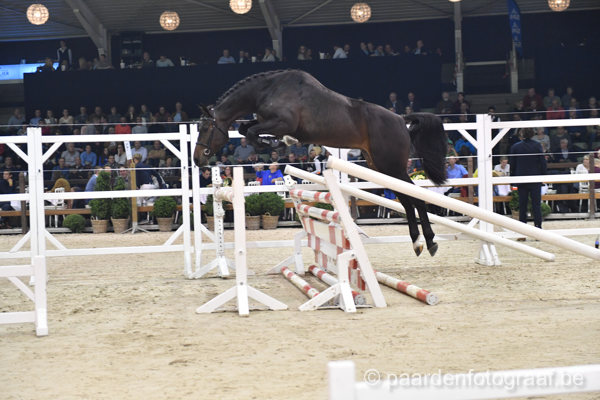 BWP Auction Antwerp