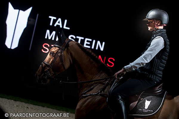 stallion show + Auction Top Ten - Tal Milstein