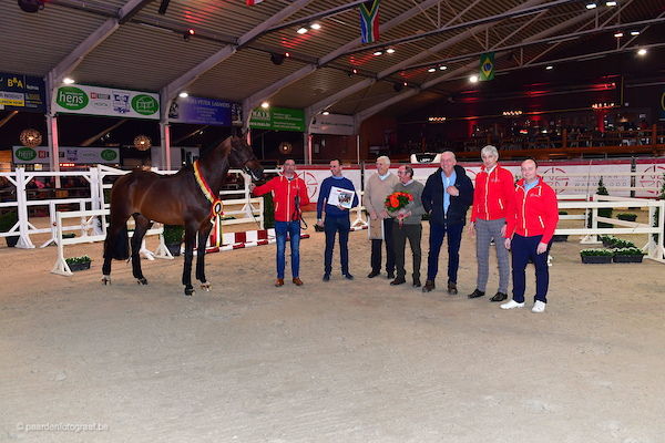 BWP Hengstenkeuring, veiling & hengstencompetitie