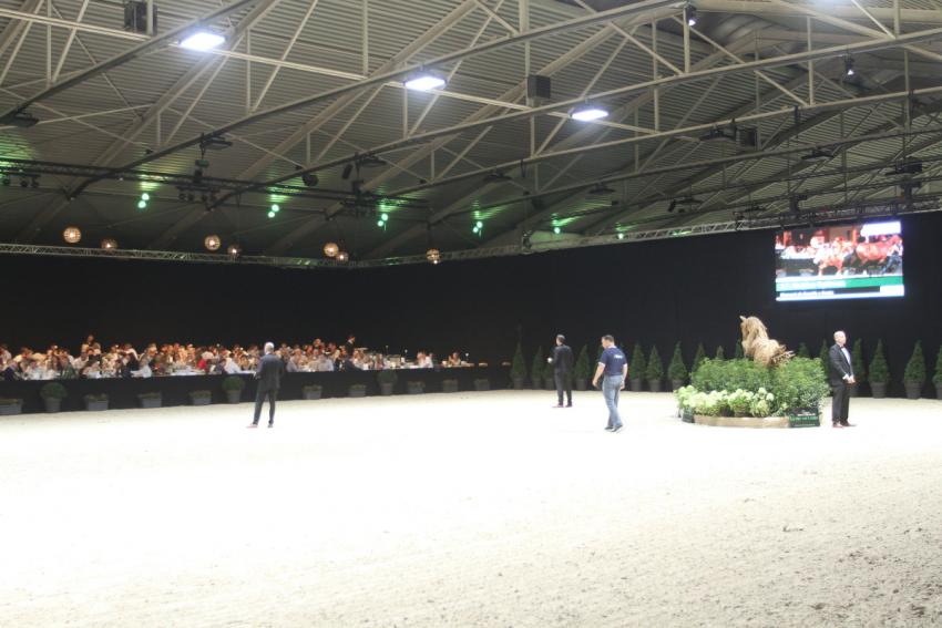 Horseman Elite Auction 2021