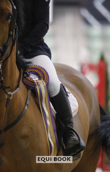 Indoor Tour CSI Lier 2019