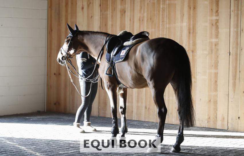 Indoor Tour CSI Lier 2019