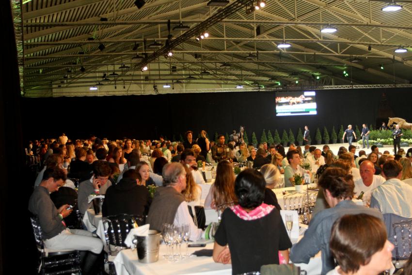 Horseman Elite Auction 2021