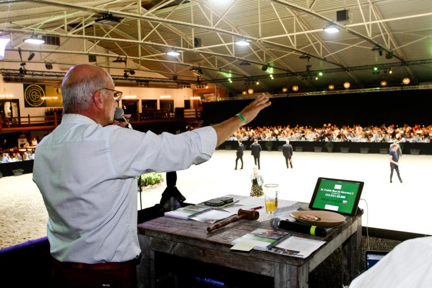 Horseman Elite Auction 2021