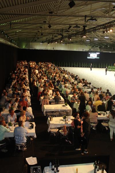 Horseman Elite Auction 2021