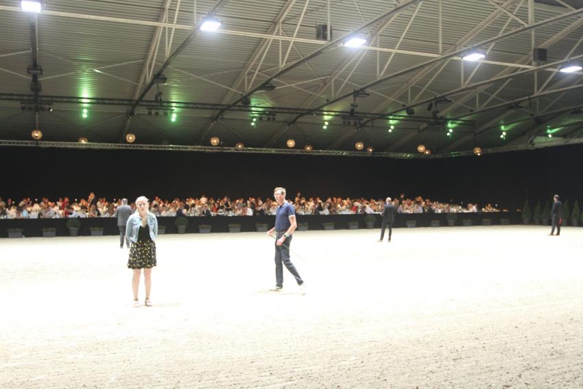 Horseman Elite Auction 2021