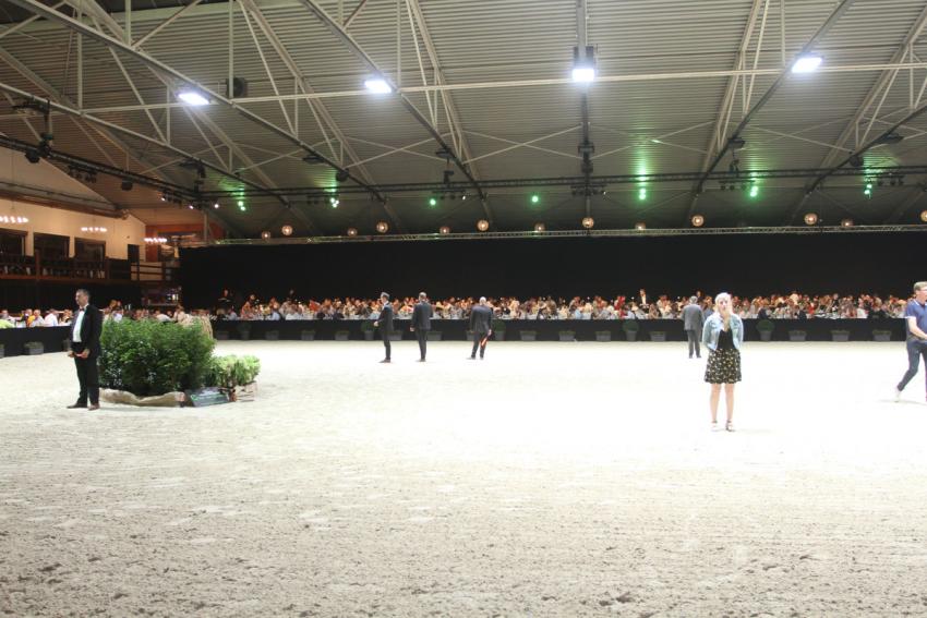 Horseman Elite Auction 2021