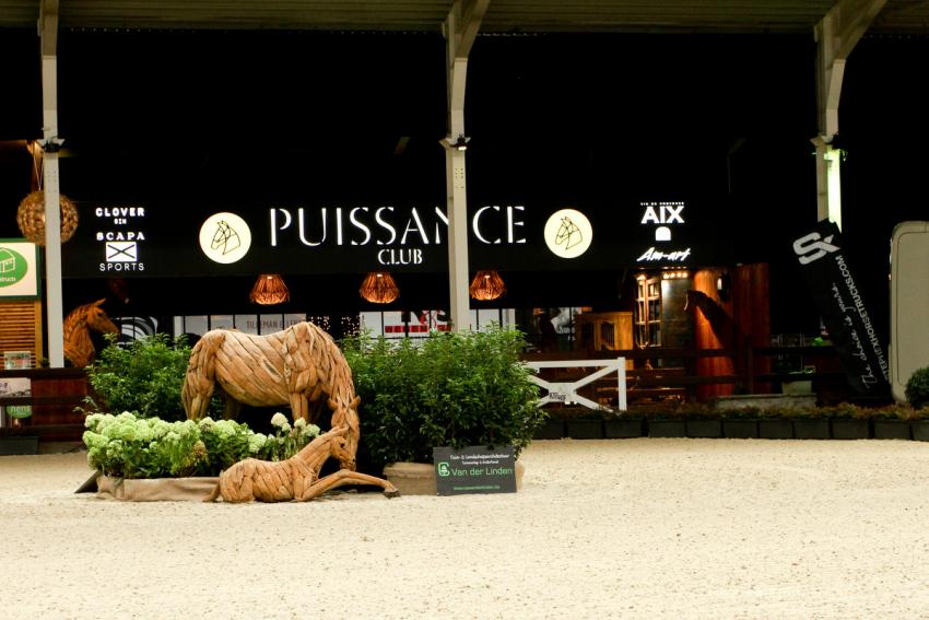 Horseman Elite Auction 2021