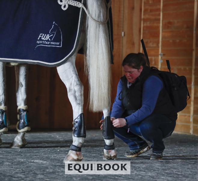 Indoor Tour CSI Lier 2019