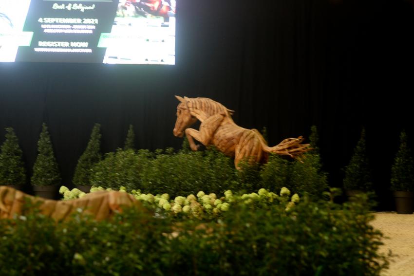 Horseman Elite Auction 2021