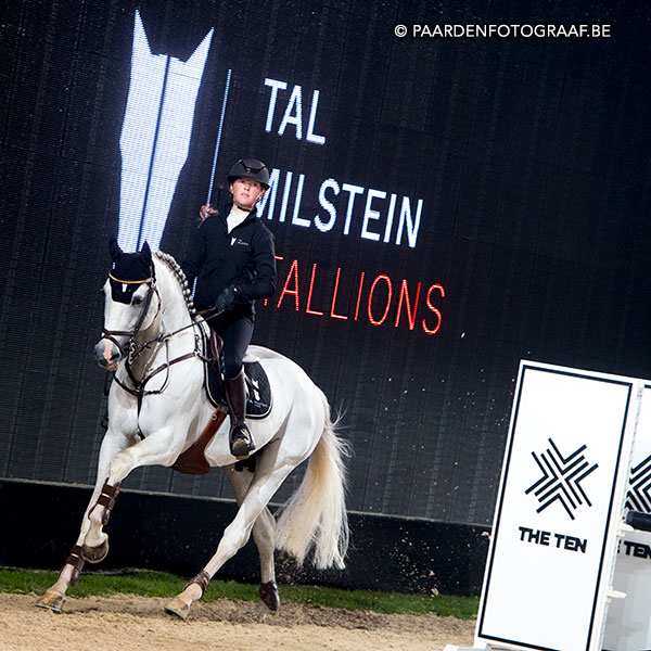 stallion show + Auction Top Ten - Tal Milstein