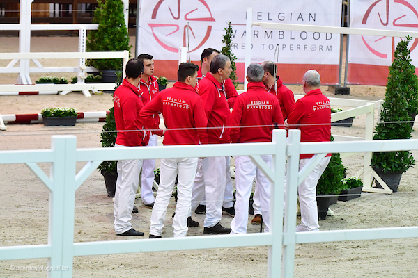 BWP Hengstenkeuring, veiling & hengstencompetitie