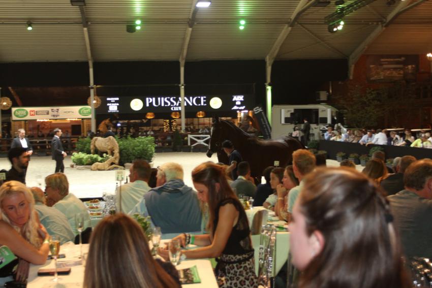 Horseman Elite Auction 2021