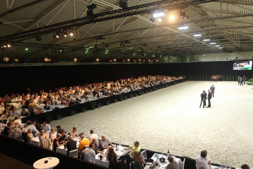 Horseman Elite Auction 2021