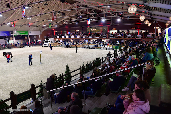 BWP Hengstenkeuring, veiling & hengstencompetitie