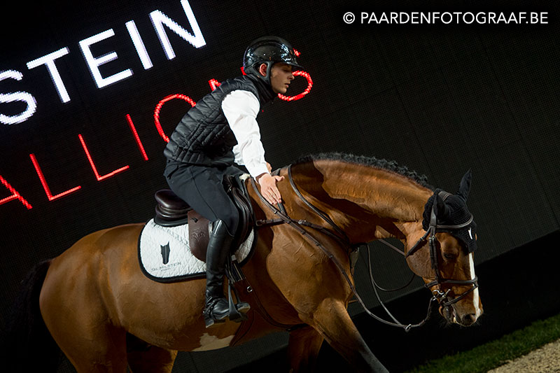 stallion show + Auction Top Ten - Tal Milstein