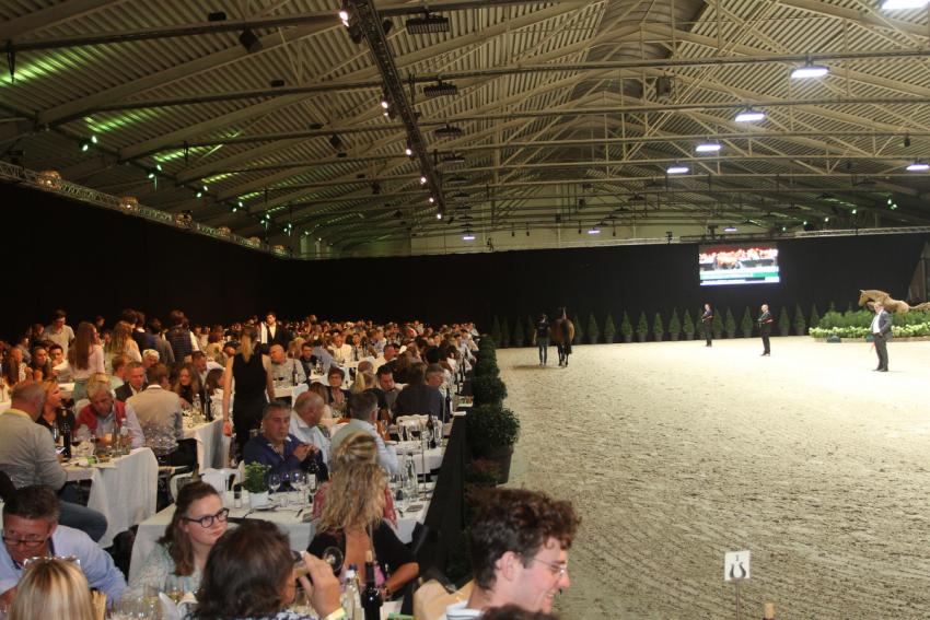 Horseman Elite Auction 2021