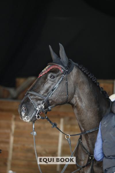 Indoor Tour CSI Lier 2019