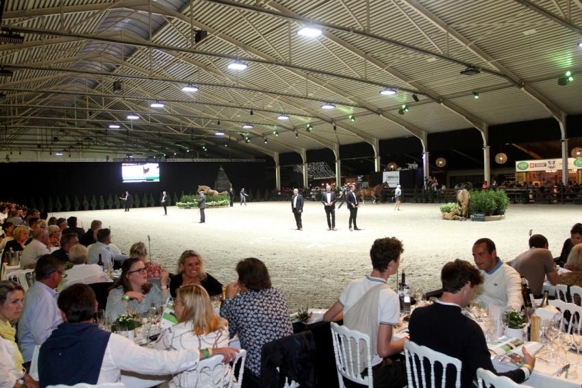 Horseman Elite Auction 2021