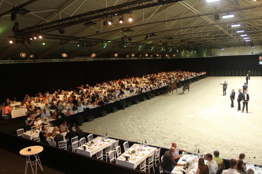 Horseman Elite Auction 2021