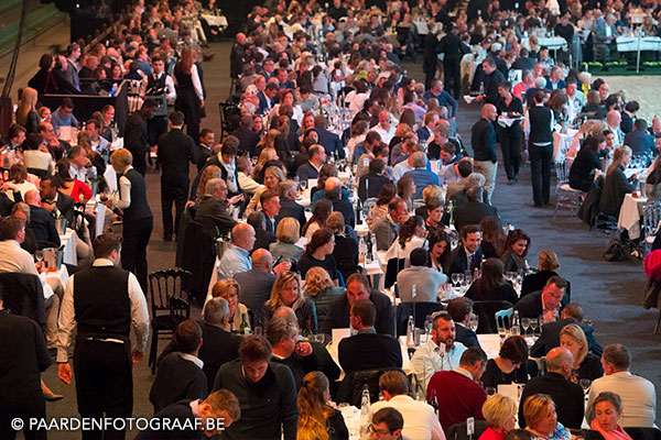 stallion show + Auction Top Ten - Tal Milstein
