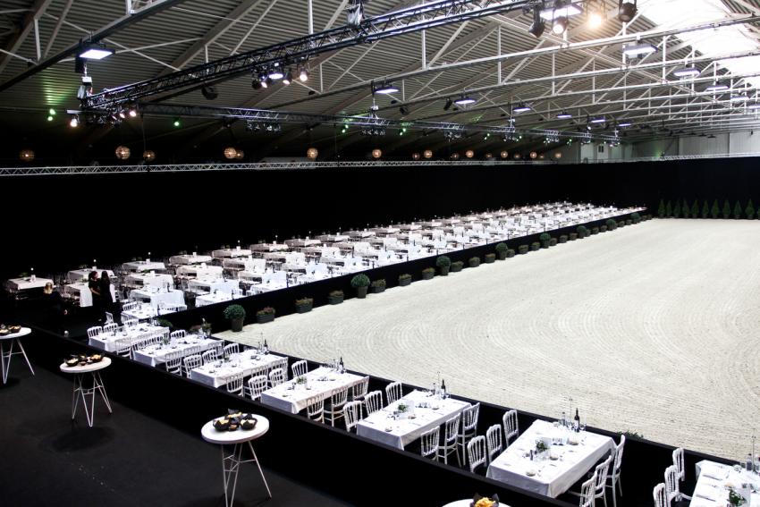 Horseman Elite Auction 2021