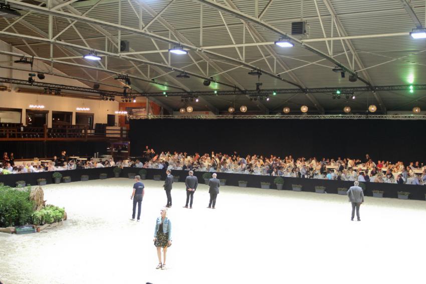 Horseman Elite Auction 2021