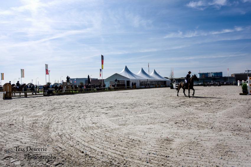 AZELHOF SPRINGTOUR 2017 by Tess Dewerie
