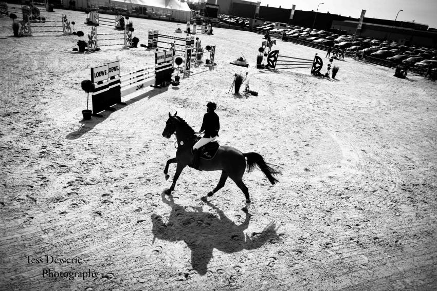 AZELHOF SPRINGTOUR 2017 by Tess Dewerie