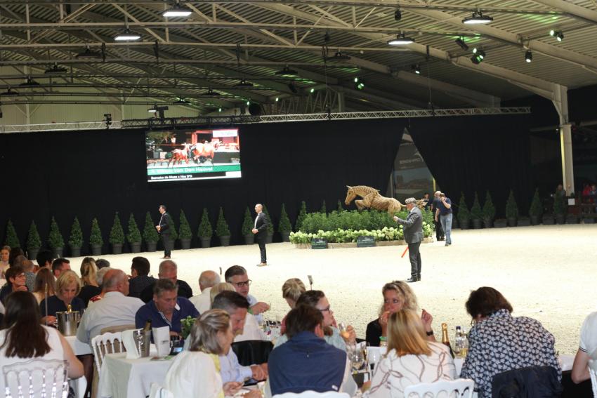 Horseman Elite Auction 2021