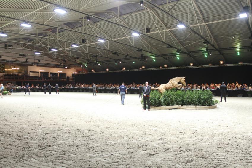 Horseman Elite Auction 2021